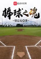 soul of baseball